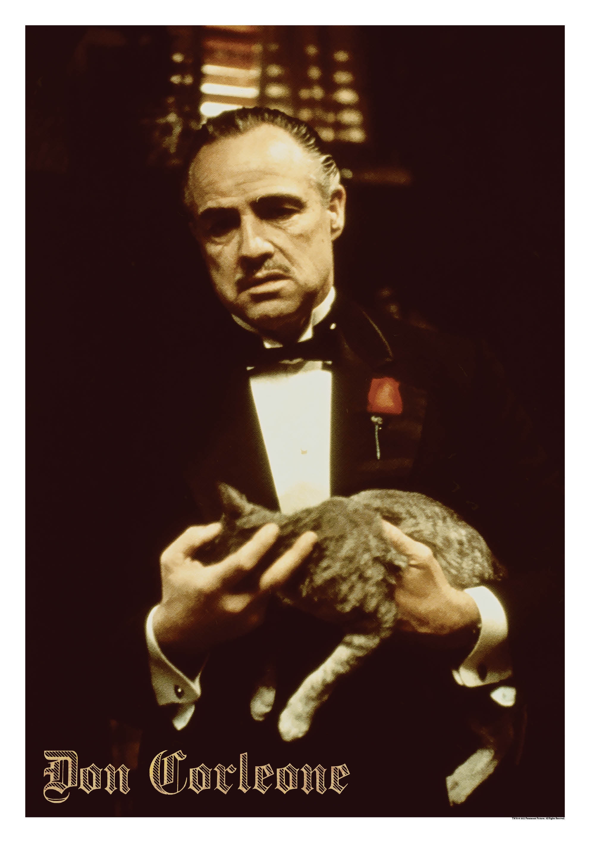 Don Corleone Poster