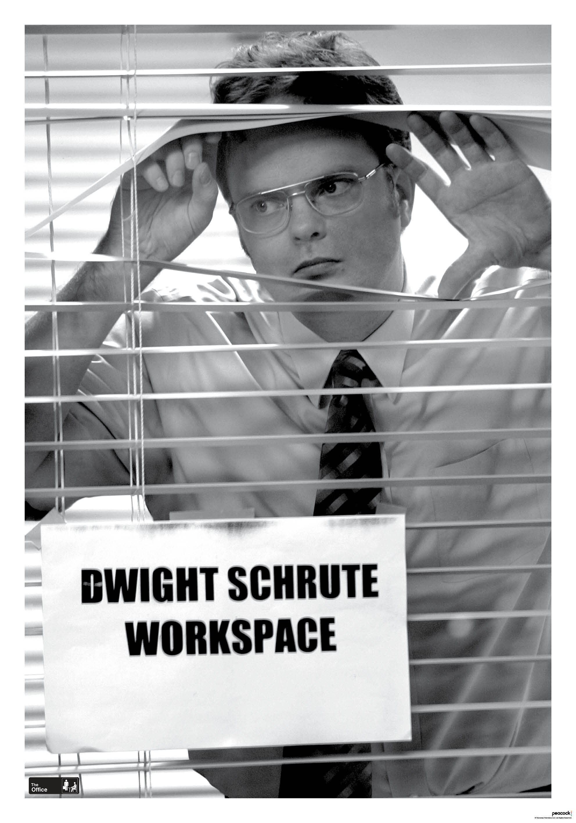 Dwight Schrute Workspace Poster